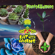 Eat With Aliens “Plants4Humans”